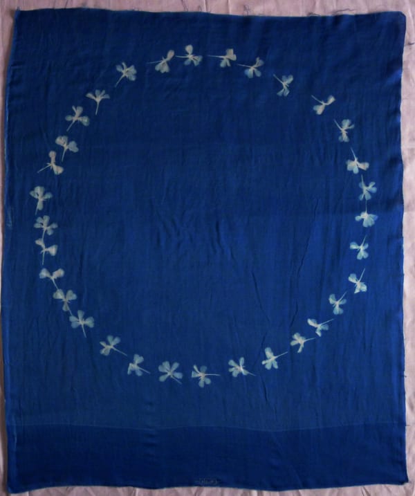 Sondra Meszaros, #17, 2016