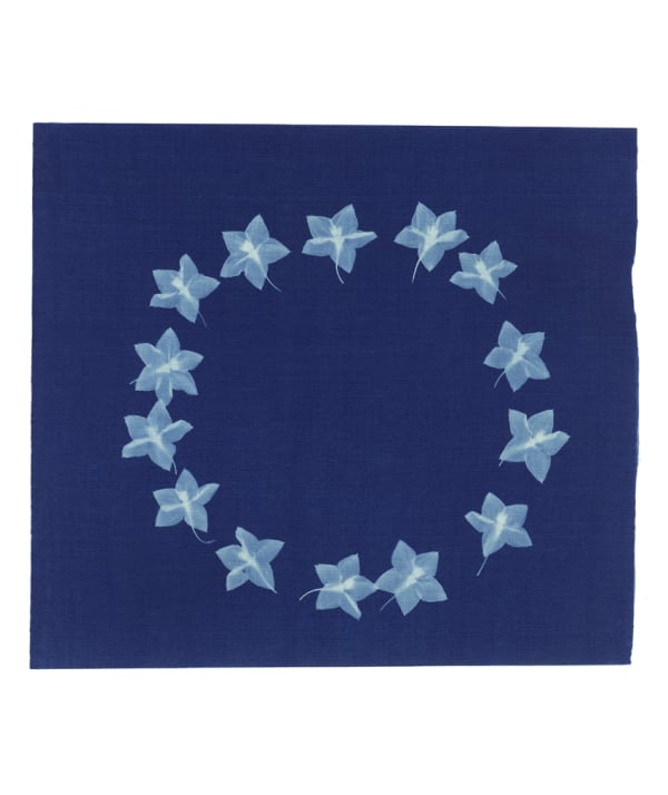 Sondra Meszaros, #17, 2016