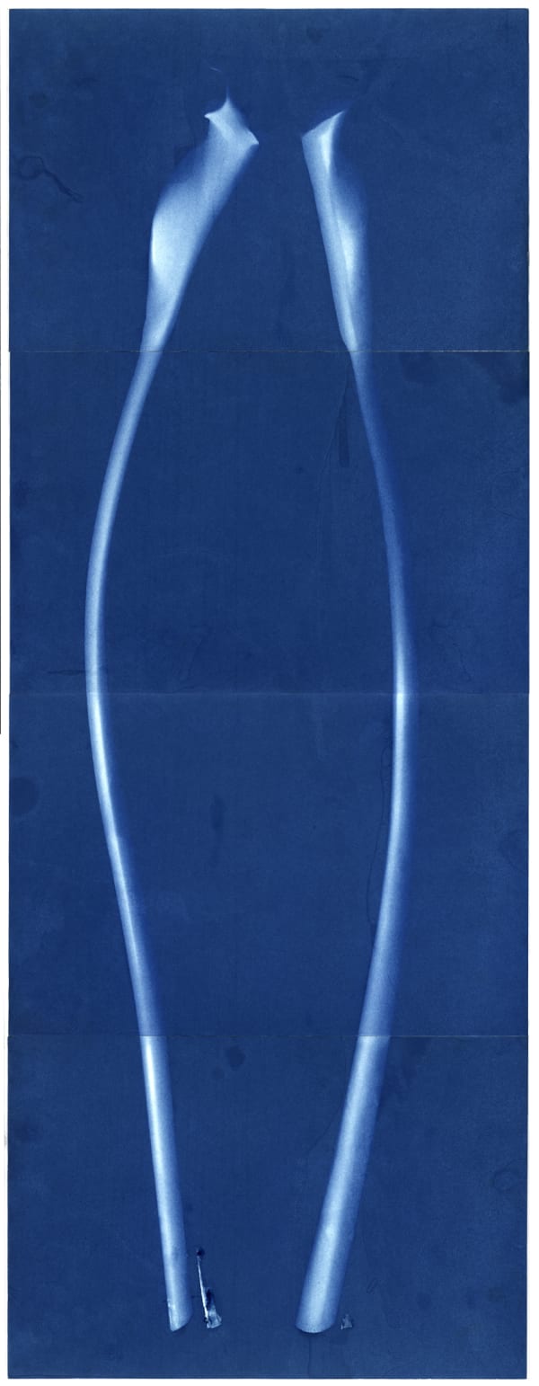 Sondra Meszaros, #17, 2016