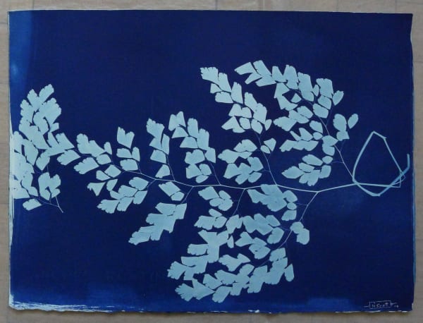 Sondra Meszaros, #17, 2016