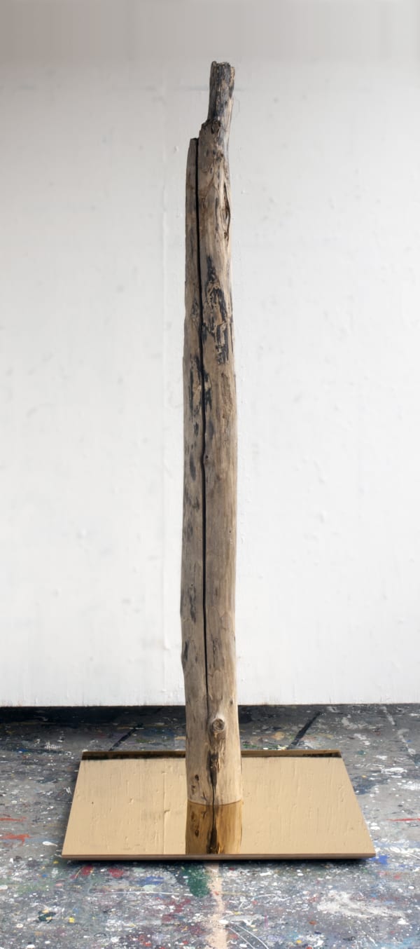 Sondra Meszaros, #17, 2016