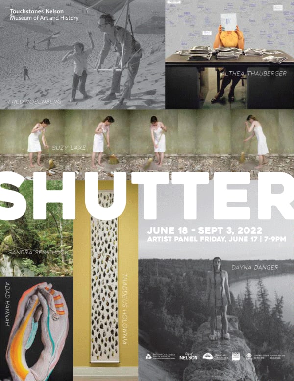 "Icarus: Falling of Birds" by Thaddeus Holownia included in "Shutter"
