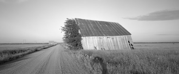 Thaddeus Holownia, Barn and Tree, High Marsh Road, New Brunswick, 1999