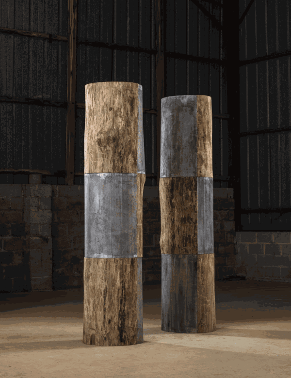 Vincent Barré, Twin Columns, 2013.