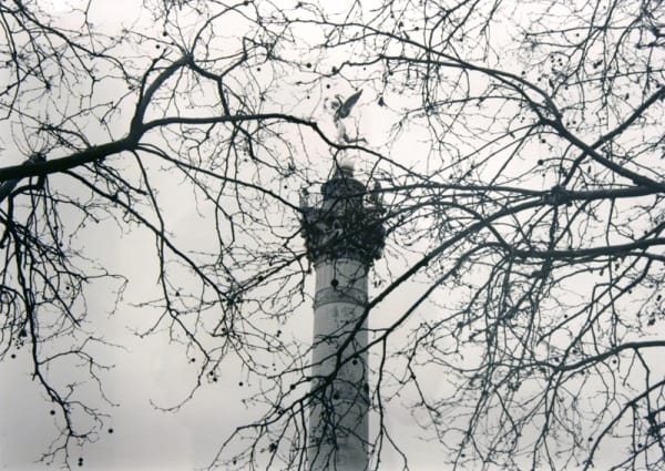 Thaddeus Holownia, Colonne de Juillet, Place de la Bastille, 11e (Monument a la Revolution de Juillet 1830), Les "Truis gloriouses", 2007.