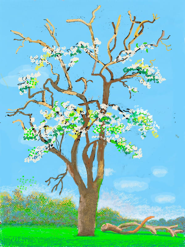 David Hockney, No. 147, 5th April 2020