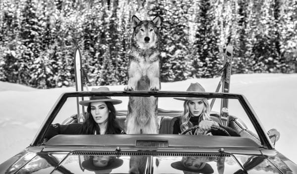 BOOK SIGNING WITH DAVID YARROW