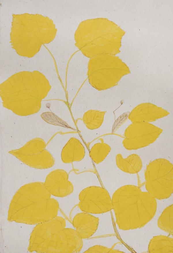 Jethro BUCK (b.1986) Autumn, 2019