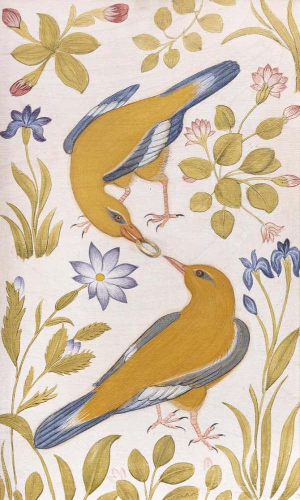 Jethro BUCK (b.1986) Golden Orioles, 2019