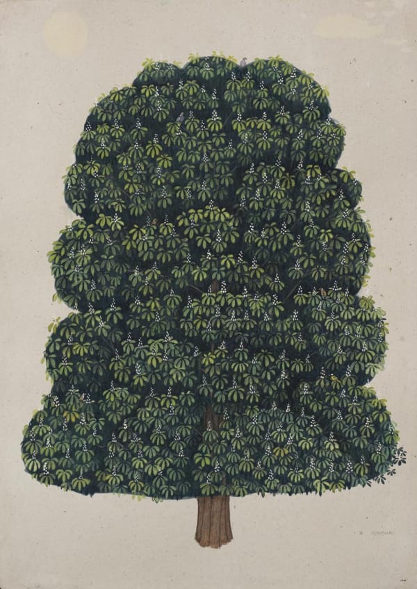 Jethro BUCK (b.1986) Horse Chestnut on Midsummer Common, 2019