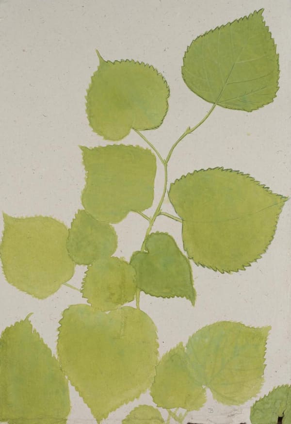 Jethro BUCK (b.1986) Spring, 2019