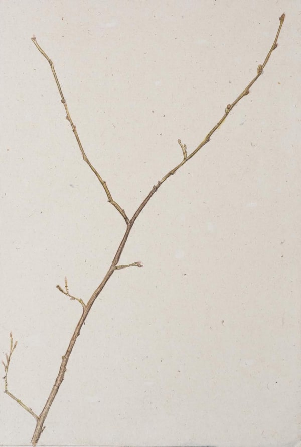 Jethro BUCK (b.1986) Winter, 2019