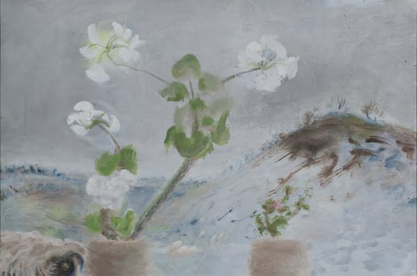 Winifred NICHOLSON (1893 – 1981) Kathleens White Geranium, 1978 Oil on canvas 15 7/8 x 24 inches / 40.5 x 61 cm