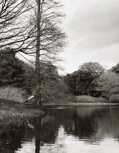 Stephane GRAFF (b.1965) Tree Intervention II, 2009 C-Type Photograph, Edition of 5 (Plus 2 artist's proofs) 35 ½ x 27 ½ inches / 90 x 70 cm