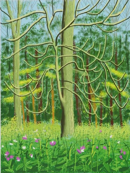 David HOCKNEY, OM, CH, RA (b.1937) The Arrival of Spring in Woldgate, East Yorkshire in 2011, 4th May 2011 iPad drawing printed on paper, Edition of 17/25 55 1/8 x 41 ¼ inches / 140 x 105 cm