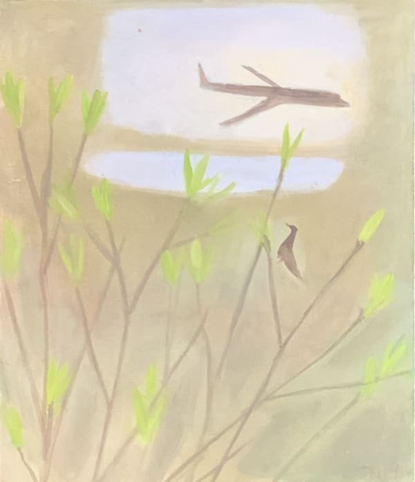 Tessa Newcomb, Taken Aback, 2019