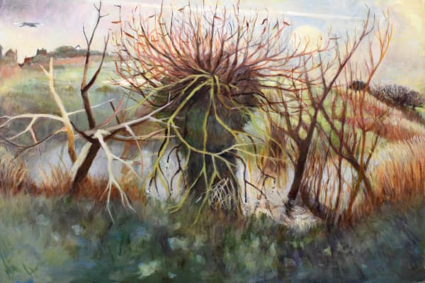 Tessa Newcomb, January Willows, 2022