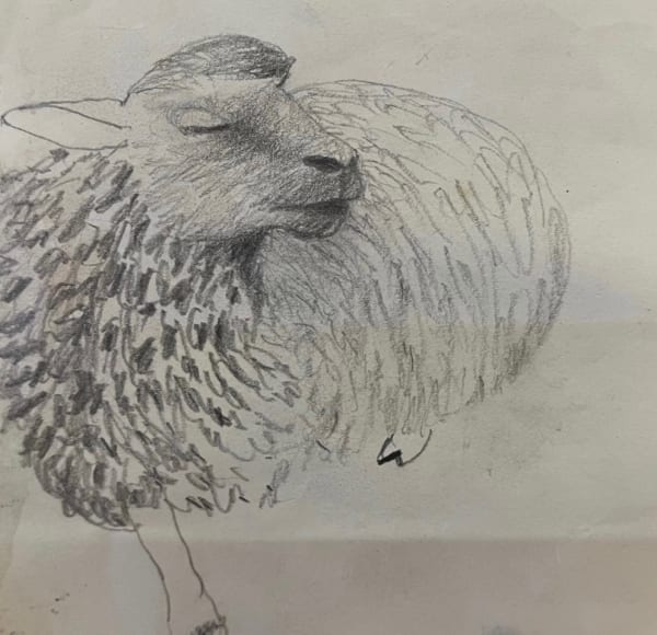 Mary Newcomb, Resting Ewe