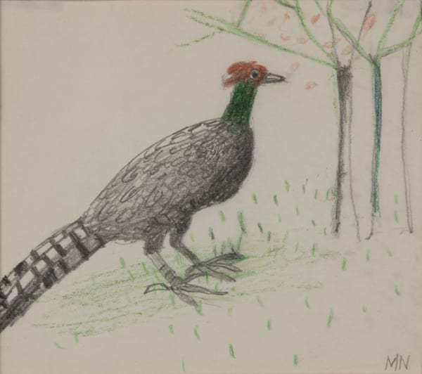 Mary Newcomb, Pheasant