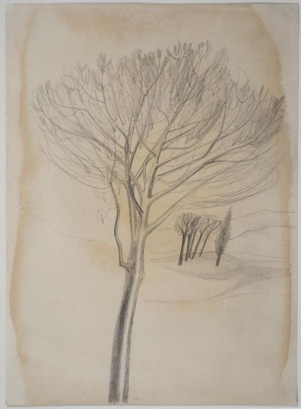 Ben Nicholson, Trees, Tuscany, 1955