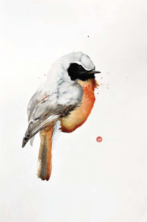 Redstart