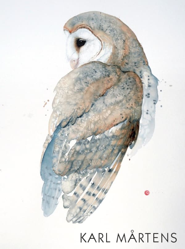 Karl Martens - Cricket Fine Art London Moments in Flight