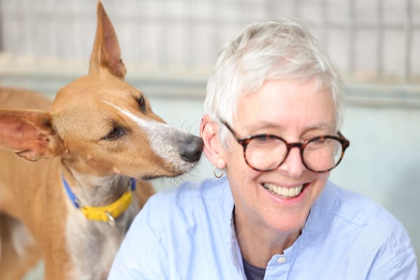 Sally Muir, Galgos del Sol – Drawings