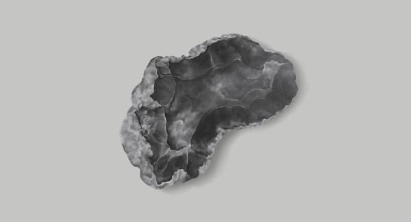 Aeropalmics, Turn of the Sun 13, 2020