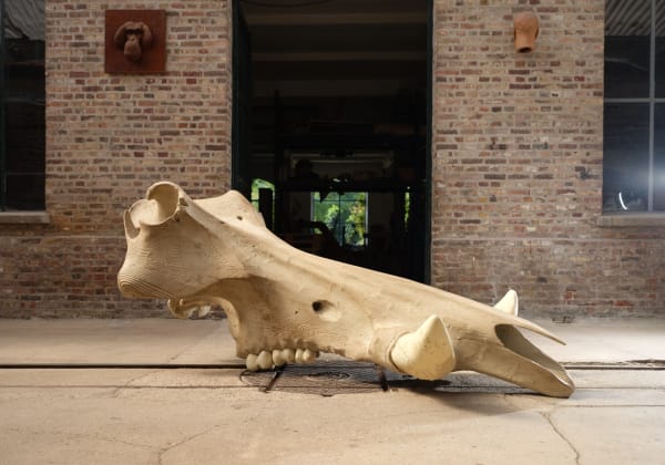 Quentin Garel, Phacochère, 2023