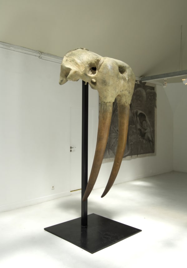 Quentin Garel, MORSE II (WALRUS), 2012