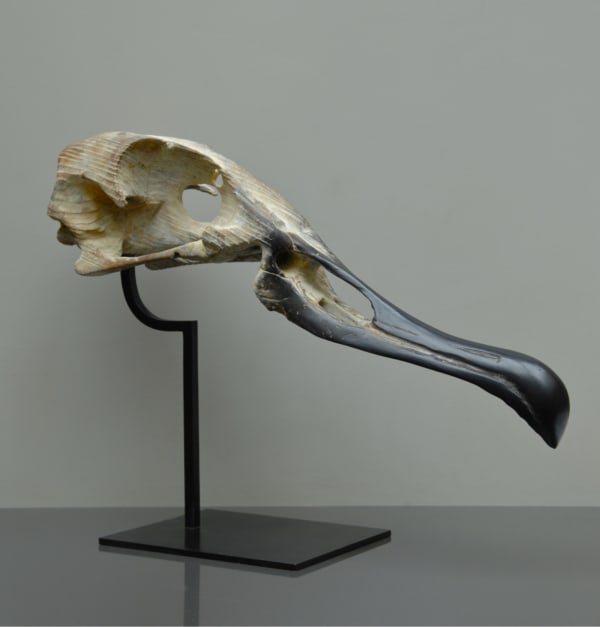 Quentin Garel, ALBATROS, 2012