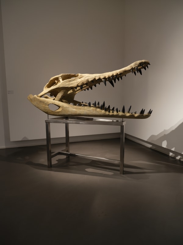 Quentin Garel, Crocodilus, 2019