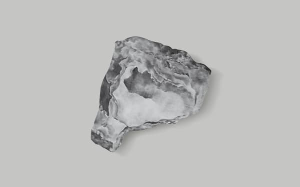 Aeropalmics, Turn of the Sun 19, 2020