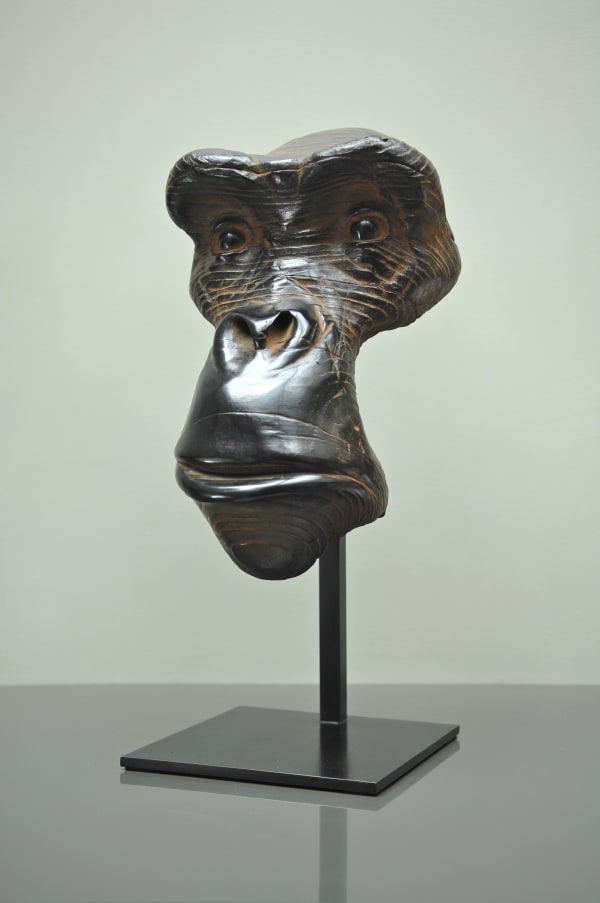 Quentin Garel, Mask of the Chimpanzee, 2015