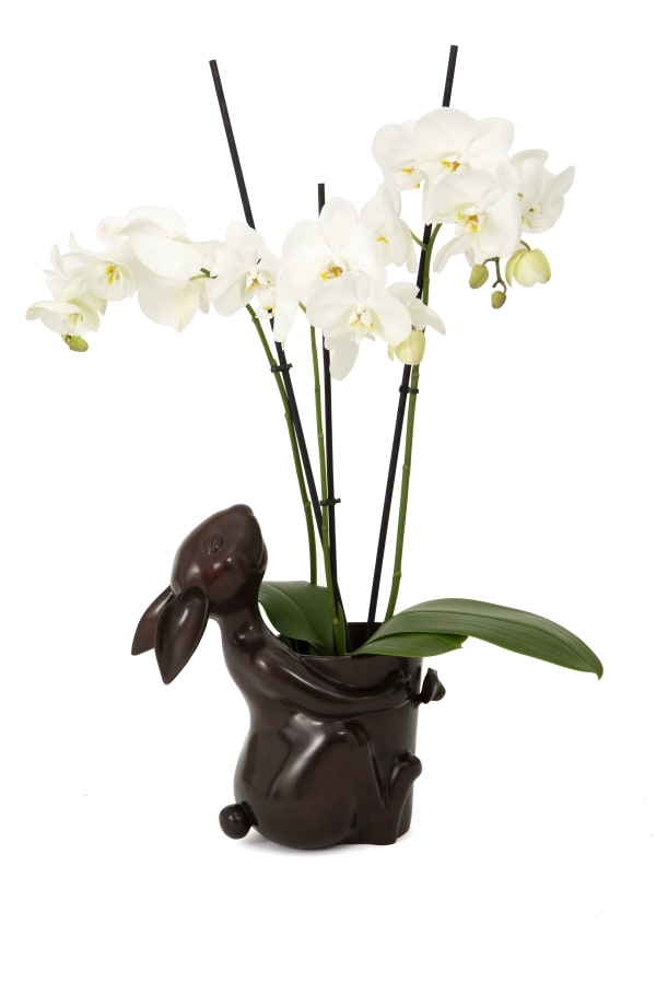 Hubert Le Gall, Cache-Pot Antoine, 2023