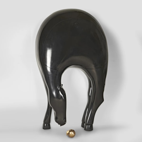 Hubert Le Gall, Secrétaire Pégase Desk, 2020