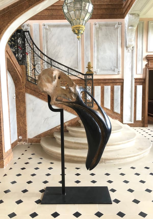 Quentin Garel, Phoenicopterus I, 2013