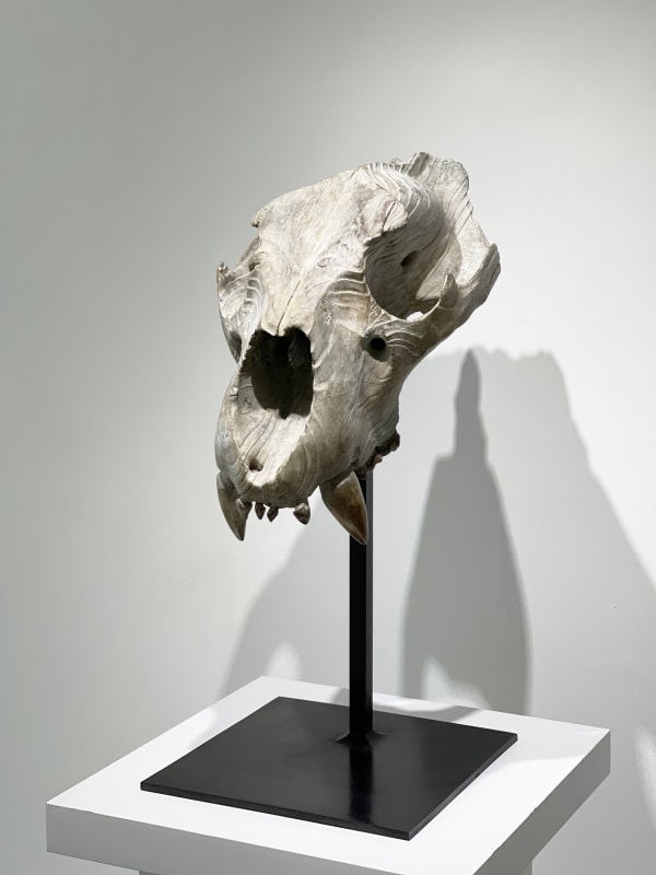 Quentin Garel, Skull of the Lion, 2012