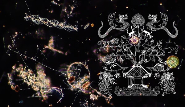 Jagad Raya #1, 2023, Mixed media, printed digital microscope and engraving on plexiglass