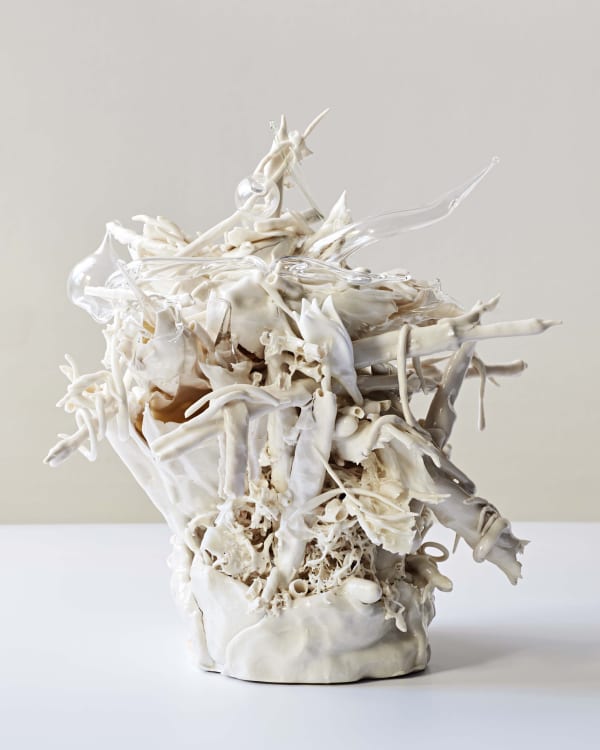 Collect 2019