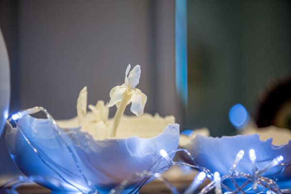 Young Masters 2022 Photo Credit Cristina Schek 85