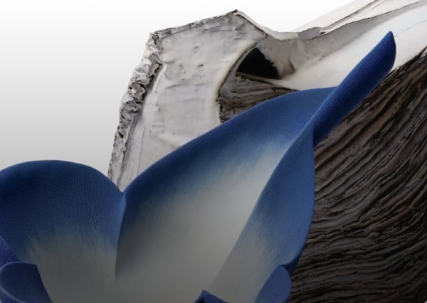 Earthly Forms Ceramic Works by Hiruma Kazuyo & Matsutani Fumio