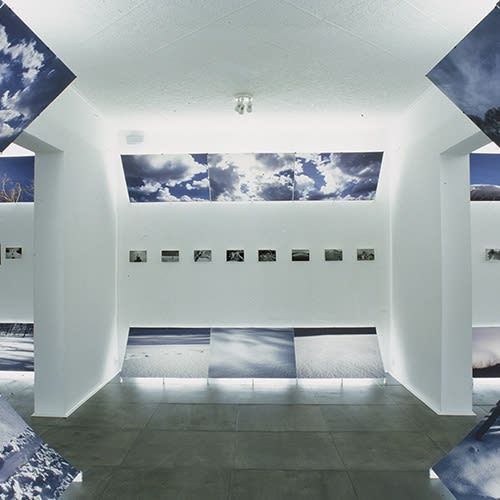 Крокин галерея