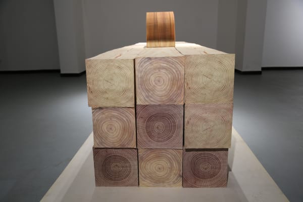 Li Hongbo, Wood Series, installation, Jilin Normal University Art Institute, China