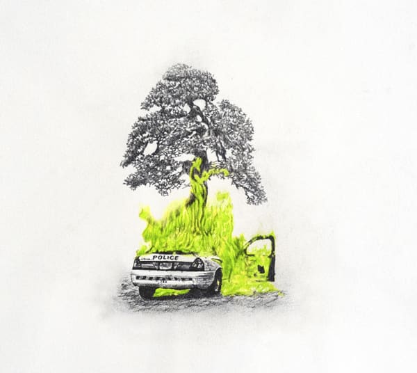 Ludovic Vernhet 为我画只羊