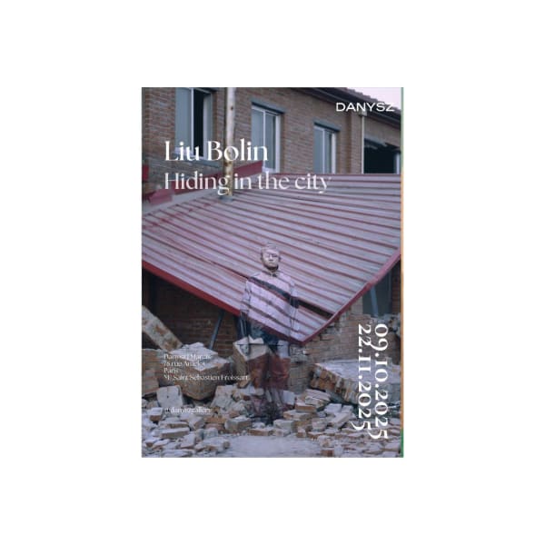 Liu Bolin Hiding in the city