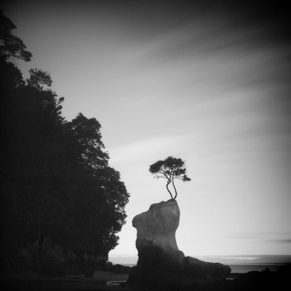 Abel Tasman, South island, New Zealand, art, landscapes, photograph