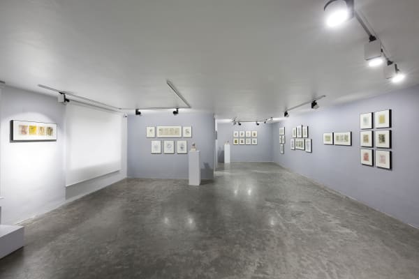 Simorgh Maryam Karimian Basement Lowres 01