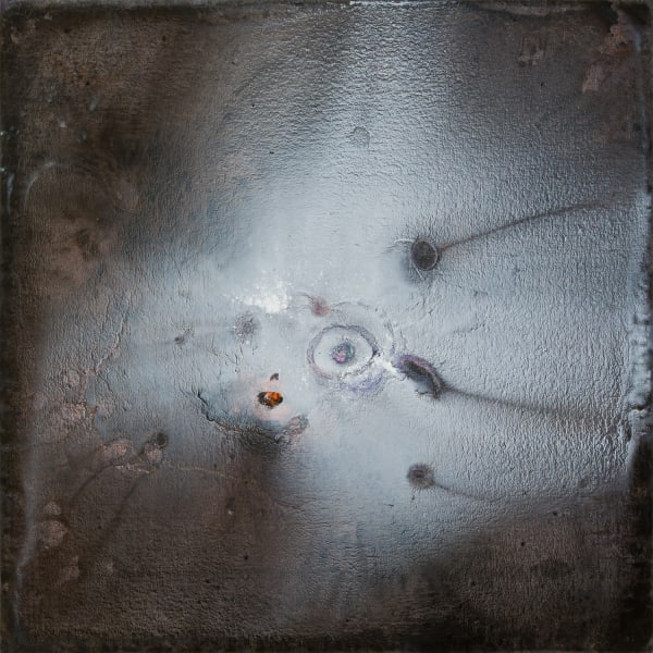 BoBak Etminani Organic Expanse #6, 2014