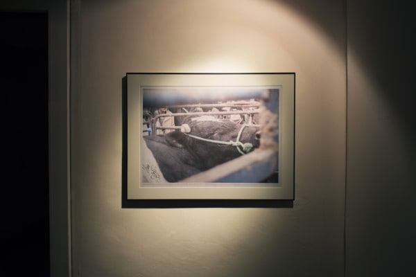 Joubeen Mireskandari Sacrifice Basement Highres 06